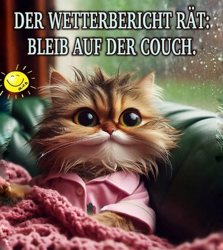 Süßes Kätzchen im rosa Pyjama, gemütlich auf dem Sofa unter einer Strickdecke. Draußen regnet es. Ideales Guten-Abend-Grußbild mit dem Spruch: Bleib auf der Couch.